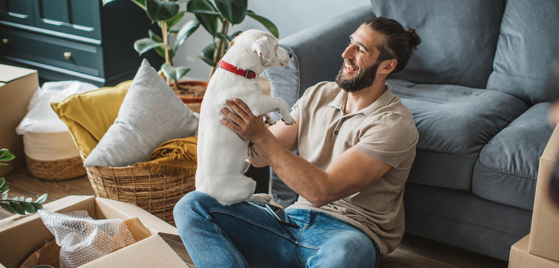 Dog-friendly HOMES