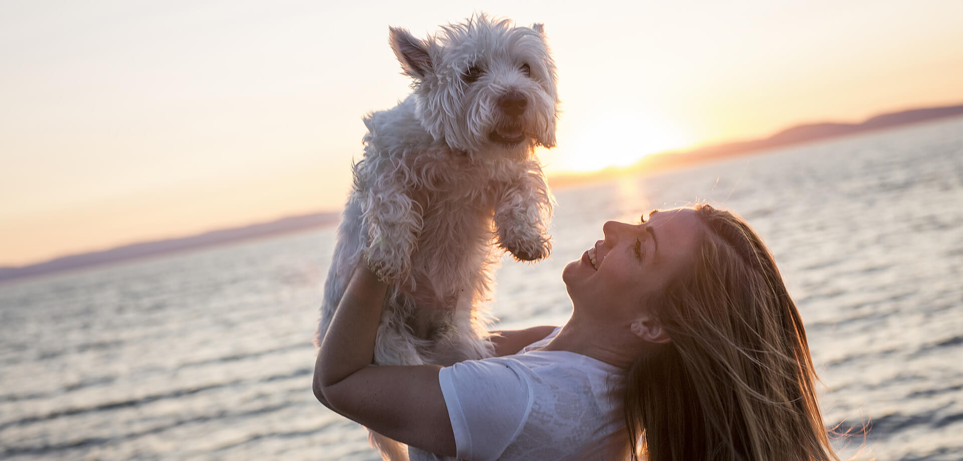 Dog-friendly TRAVEL
