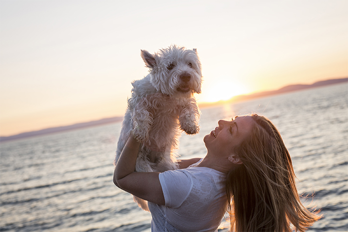 Dog-friendly TRAVEL