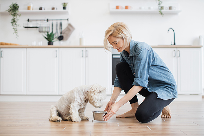 Dog-friendly FEEDING