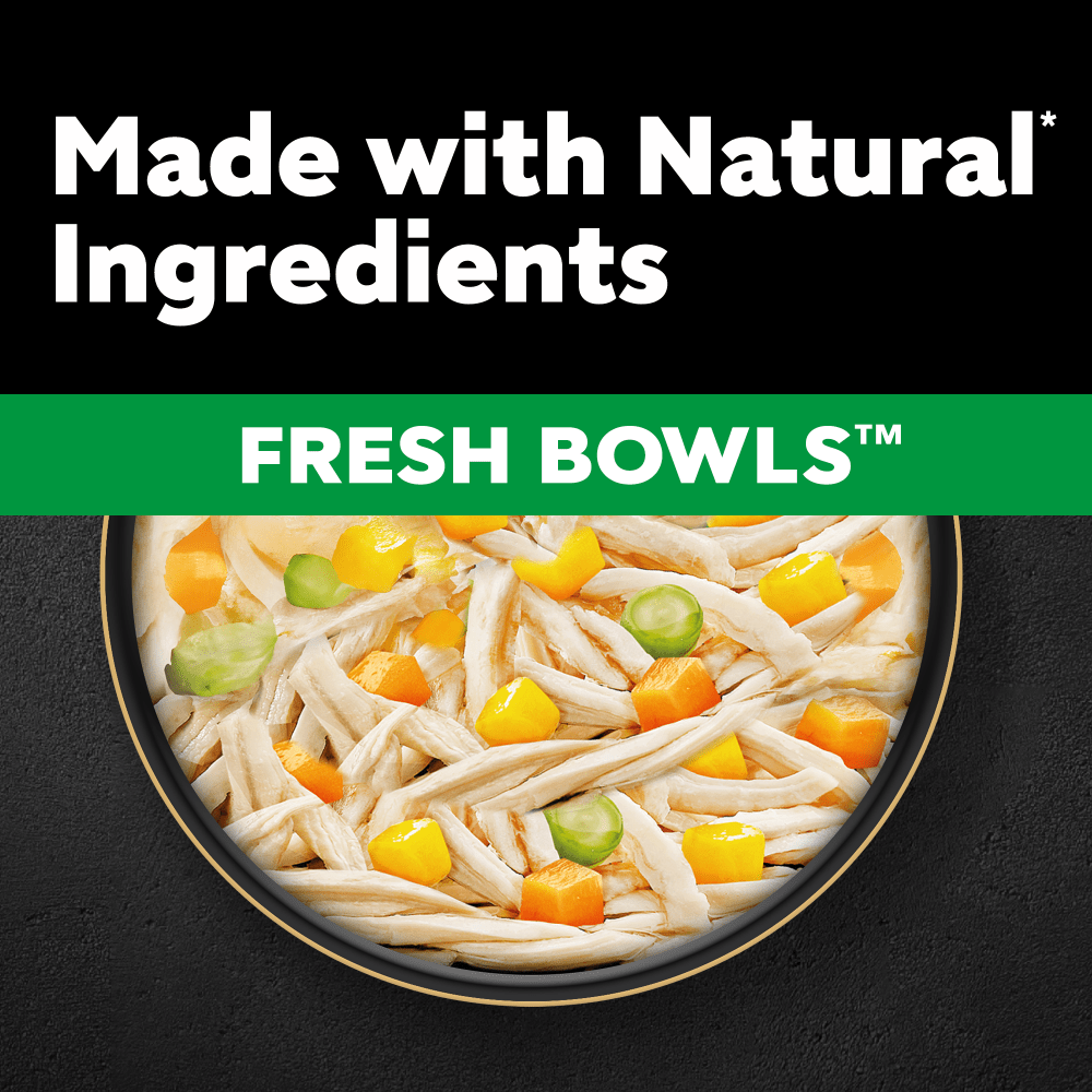 CESAR® Fresh Bowl Adult Wet Dog Food with Chicken in Gravy 85g - 2