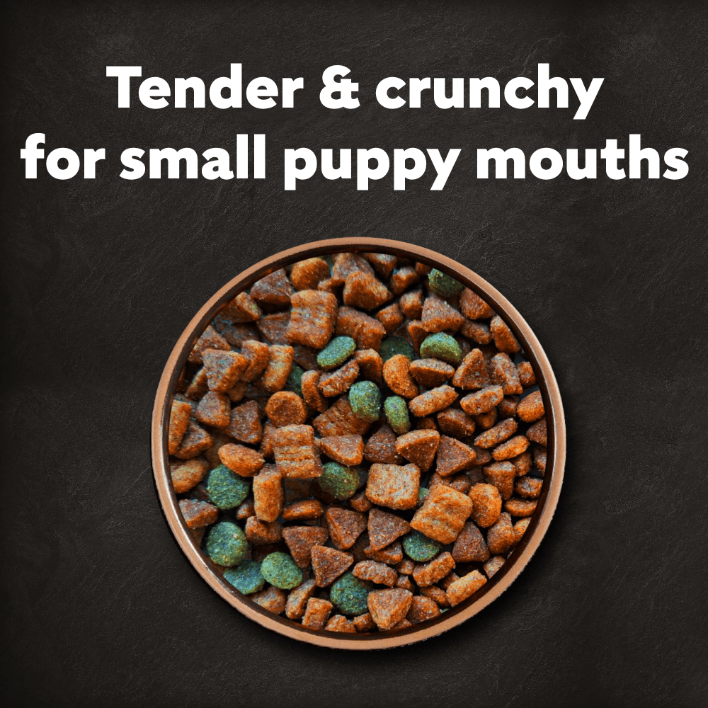 CESAR Junior Puppy Dry Dog Food with Fresh Chicken Rice & Vegetables 1.4Kg - 2