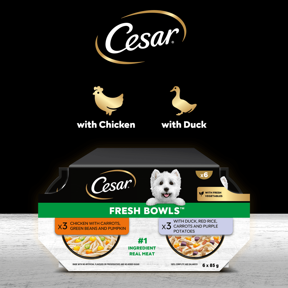 CESAR® Fresh Bowl Adult Wet Dog Food Chicken & Duck Taster Multipack 6x85g - 4