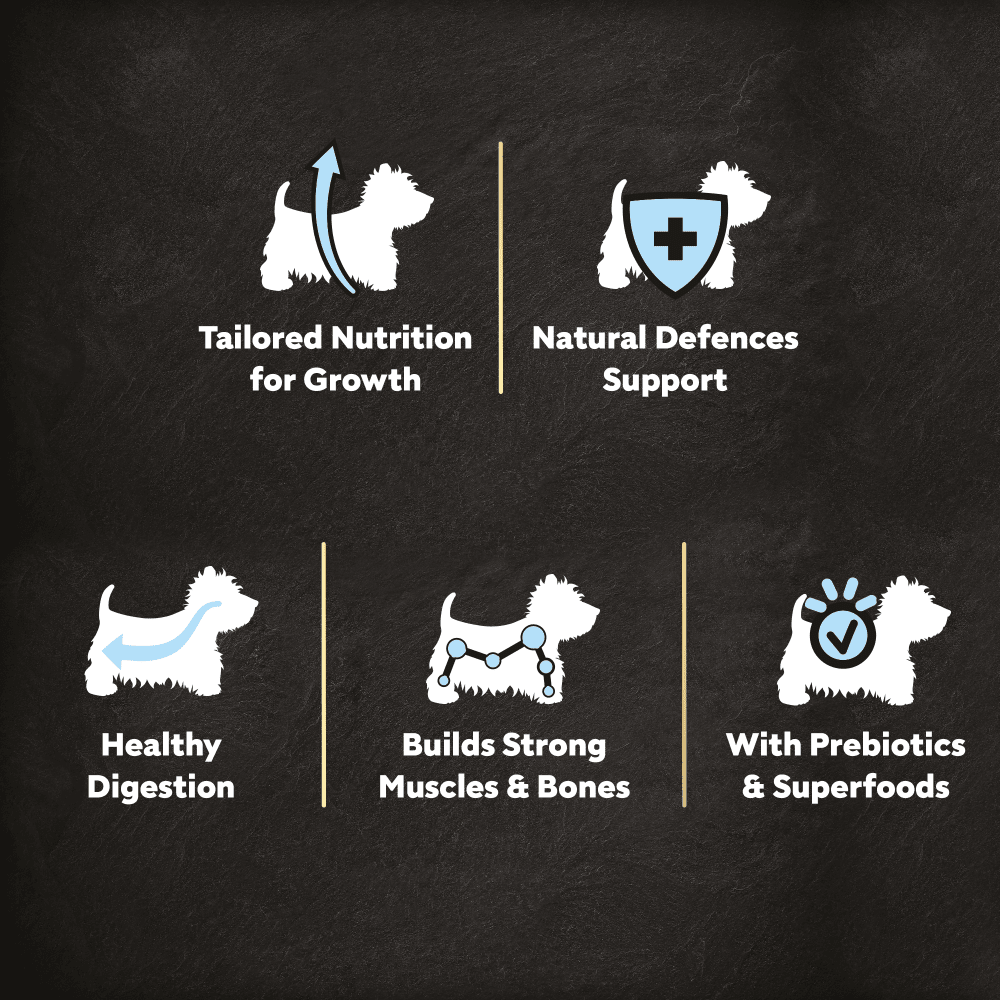 CESAR Junior Puppy Dry Dog Food with Fresh Chicken Rice & Vegetables 1.4Kg - 3