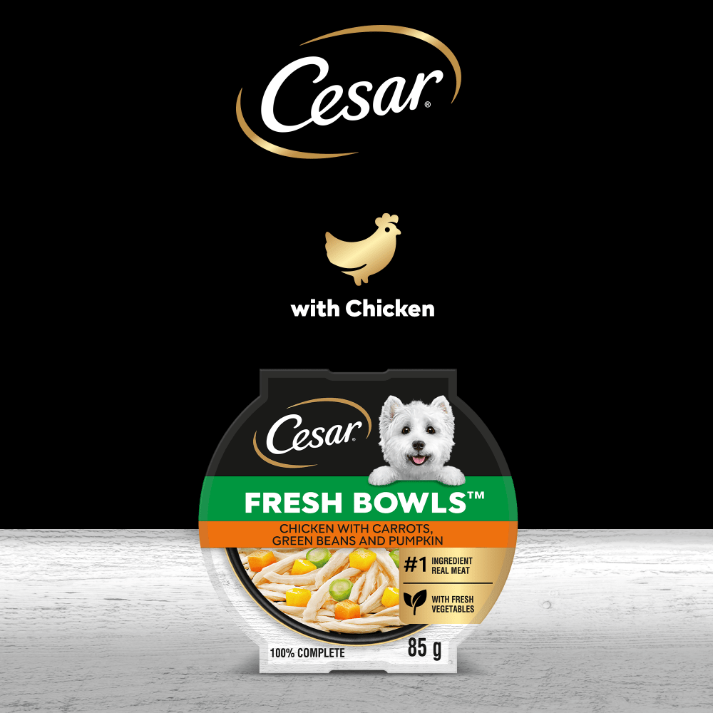 CESAR® Fresh Bowl Adult Wet Dog Food with Chicken in Gravy 85g - 4