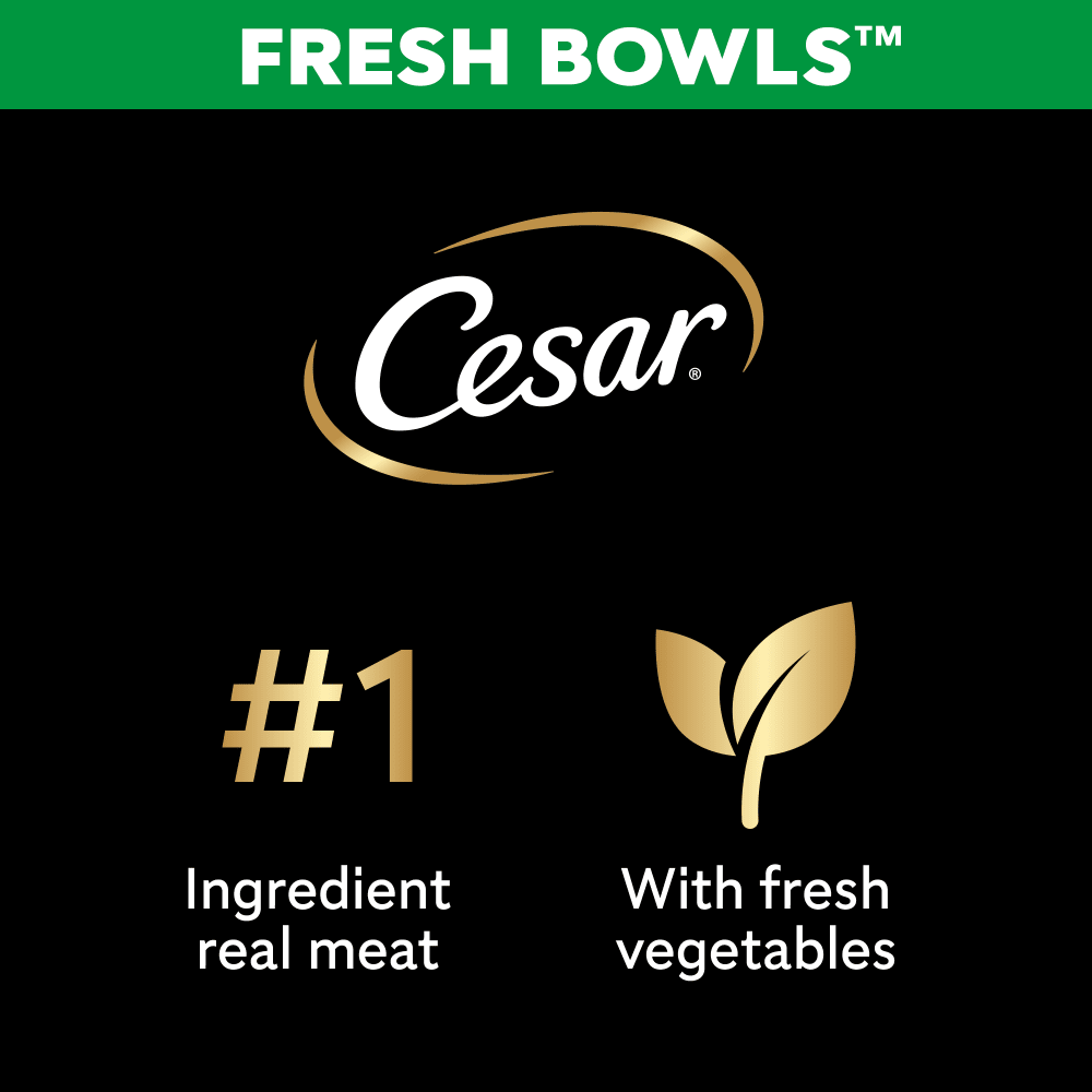 CESAR® Fresh Bowl Adult Wet Dog Food Chicken & Duck Taster Multipack 6x85g - 3