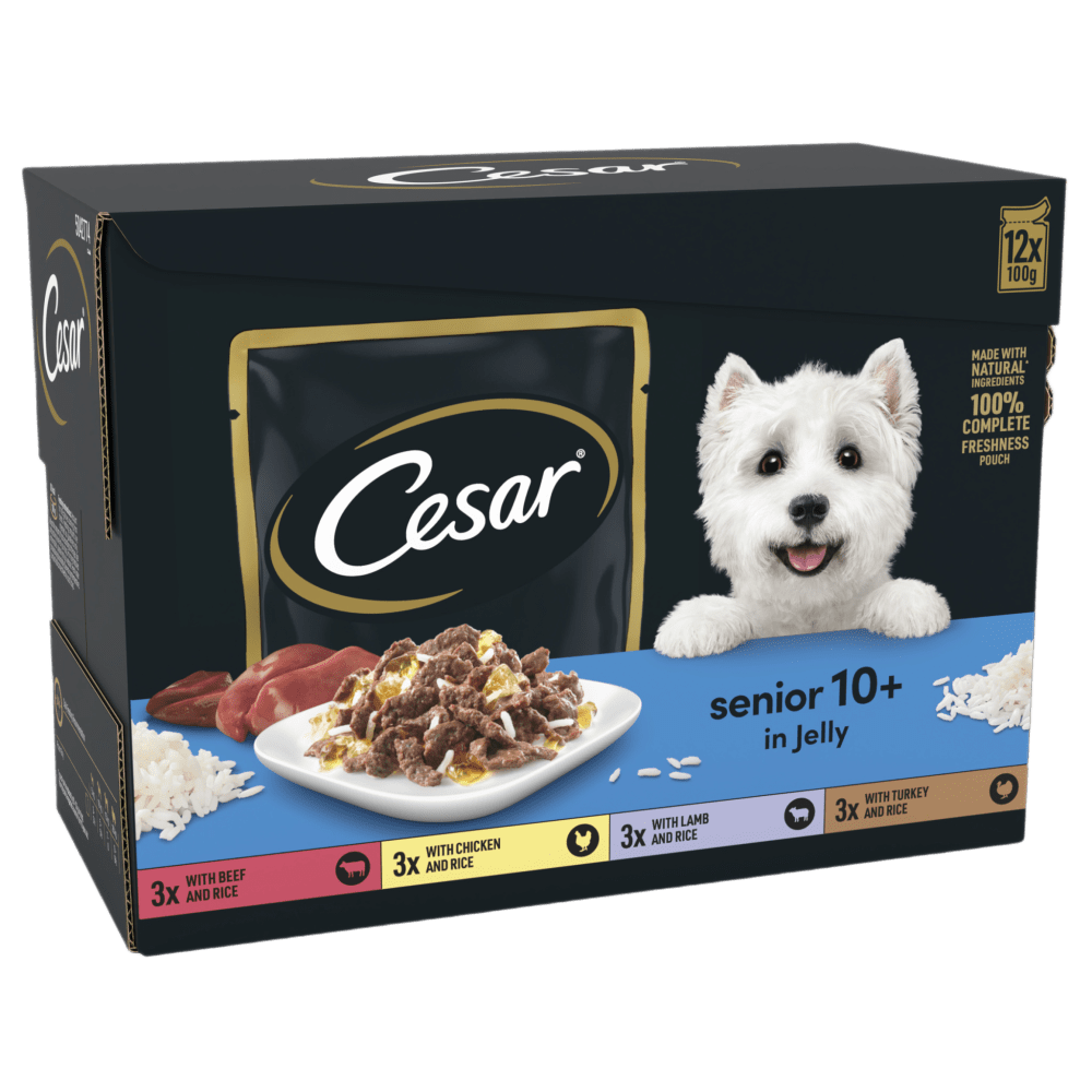 CESAR® Senior Wet Dog Food Pouches Mixed Selection in Jelly - 1