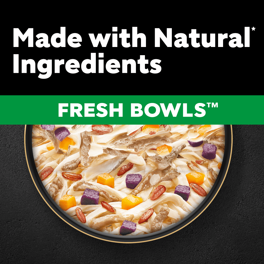 CESAR® Fresh Bowl Adult Wet Dog Food with Duck in Gravy 85g - 2