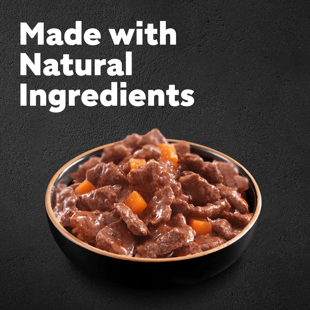 CESAR® Deliciously Fresh Dog Food Pouches Mixed Selection in Sauce - 2