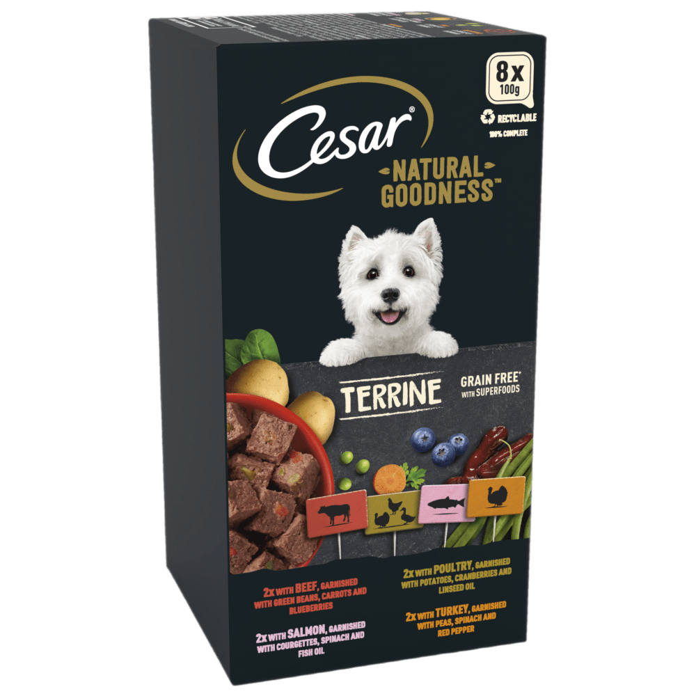 CESAR® NATURAL GOODNESS™ Grain Free Wet Dog Food in Terrine - 1