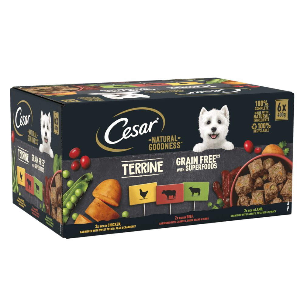 CESAR® NATURAL GOODNESS™ Grain Free Wet Dog Food Tins in Loaf - 1