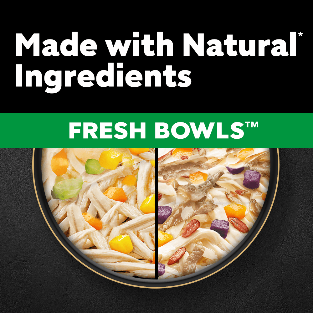CESAR® Fresh Bowl Adult Wet Dog Food Chicken & Duck Taster Multipack 6x85g - 2