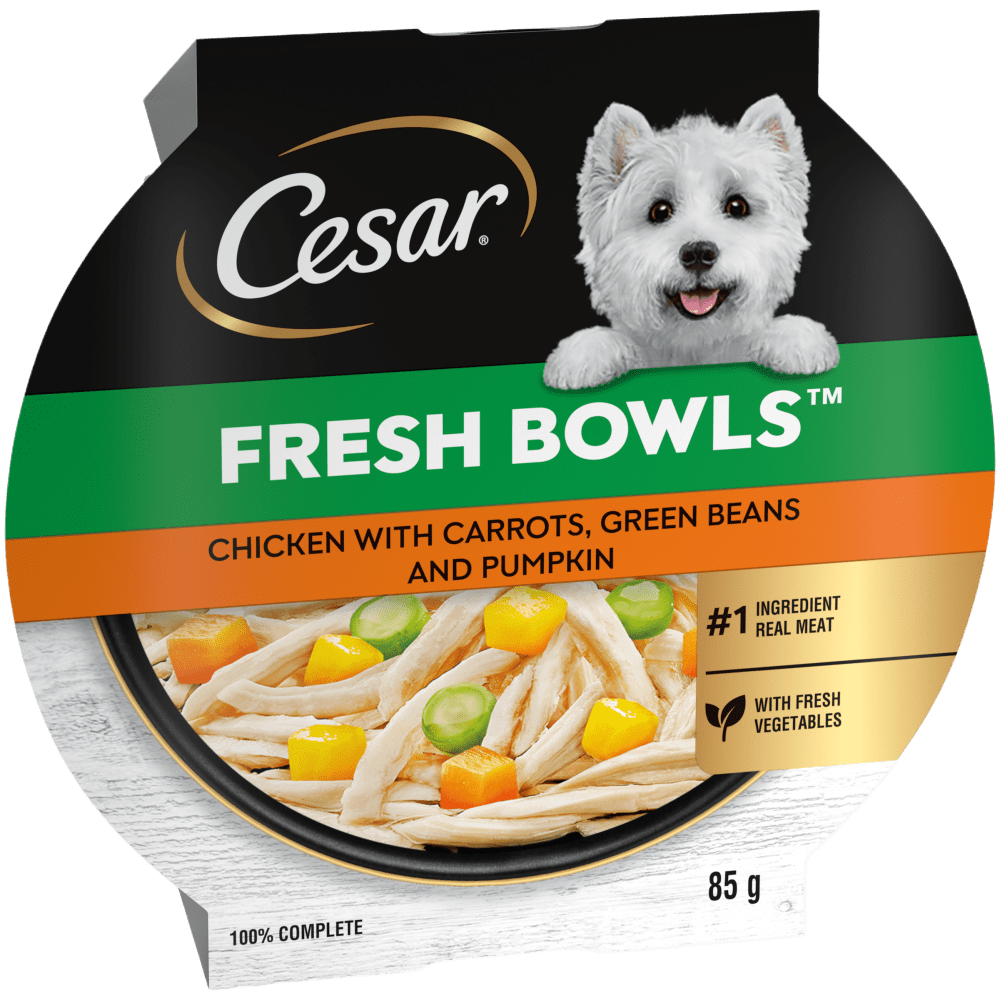 Fresh Bowl Adult Dog with Chicken, Carrots, Beans, Pumpkin in Gravy