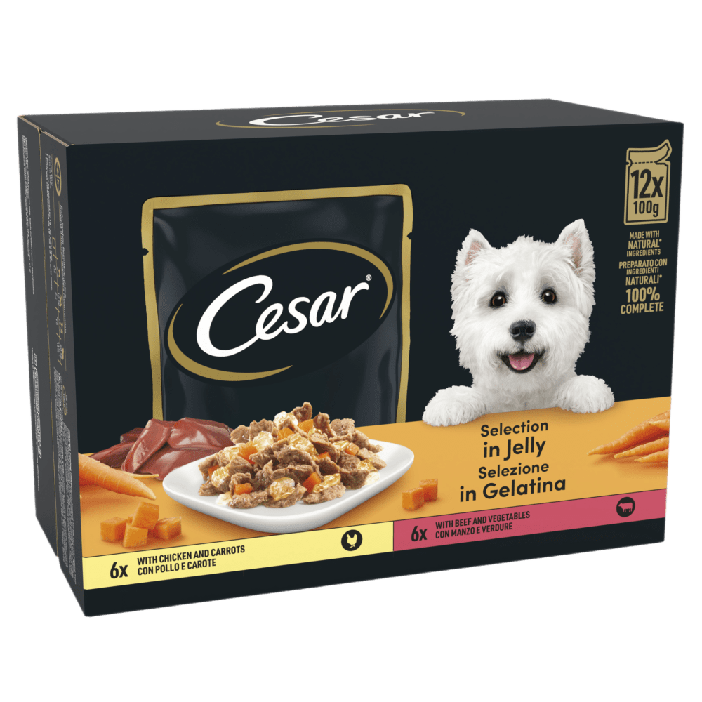 Deliciously Fresh Dog Food Pouches Mixed Selection in Jelly